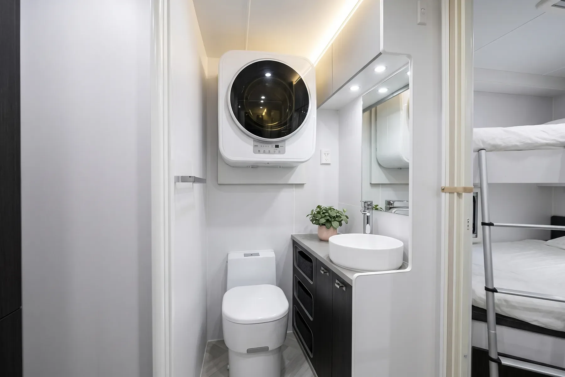 Ensuite vanity: mirrored cabinet, basin, timber slat feature wall and benchtop